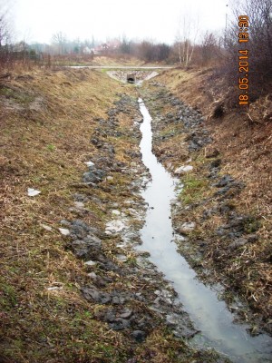 rów (1).JPG